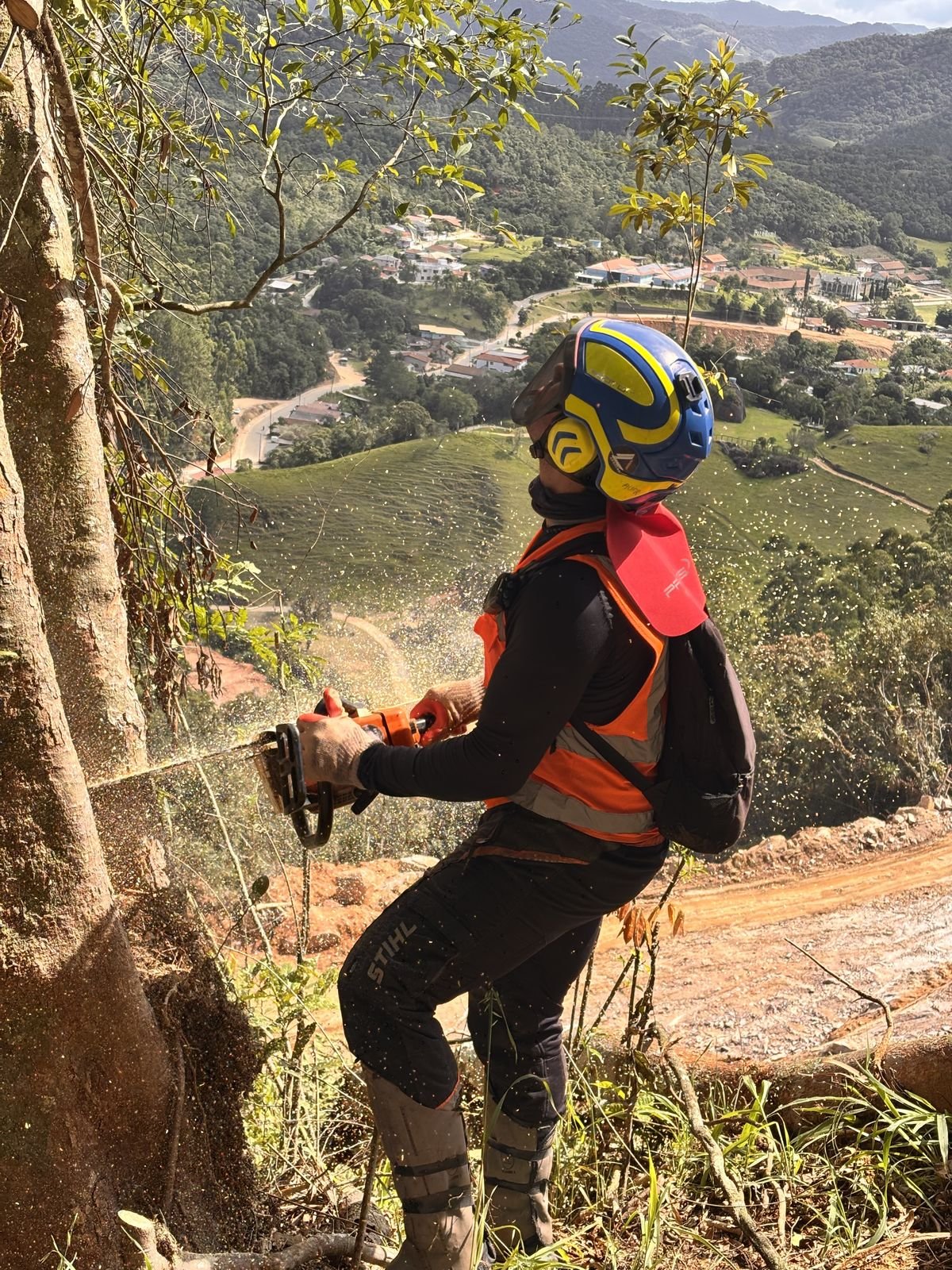 Corte com motosserra em execução, com profissional uniformizado e equipamento de proteção completo