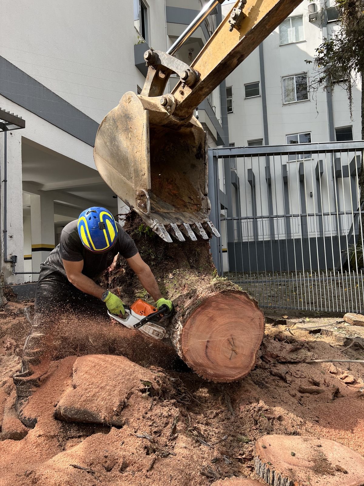 Profissional seccionando tora no solo com motosserra e proteção auditiva, ao lado da escavadeira que faz a movimentação