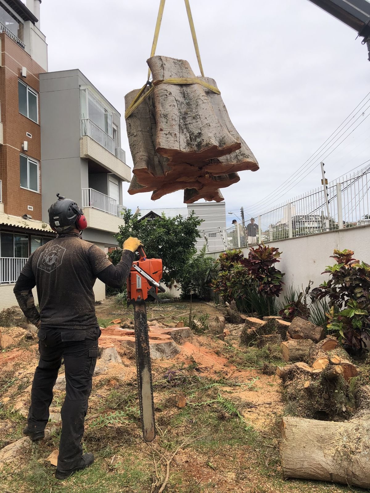 Tora de grande porte sendo içada por guindaste sobre área residencial